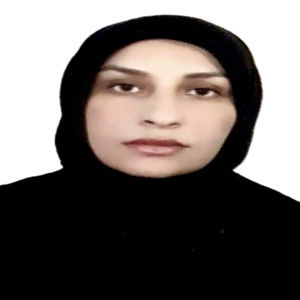 م.م. ايمان كامل جبر