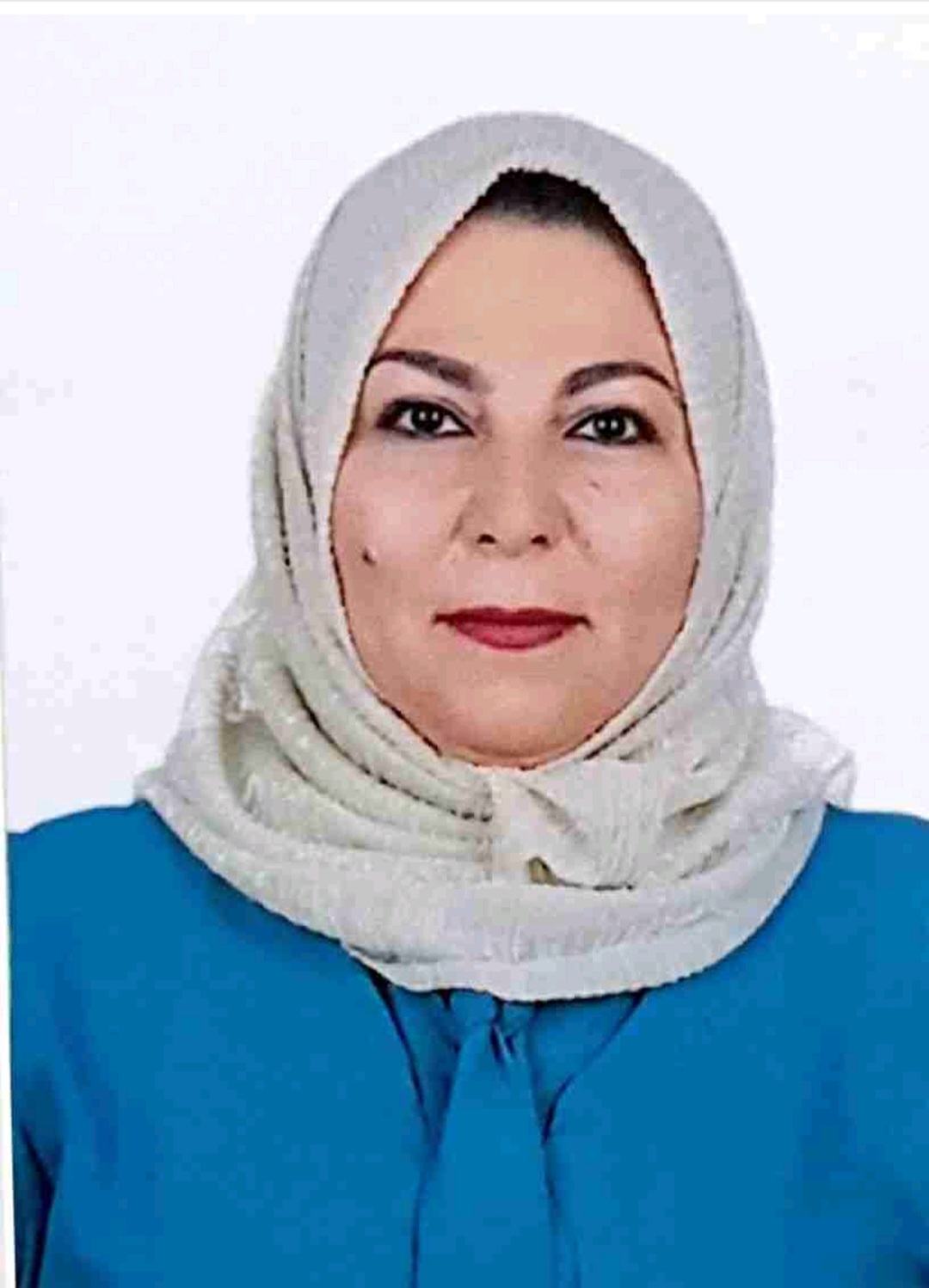 ا.م.د.سناء عبد الامير حسين القبسي 