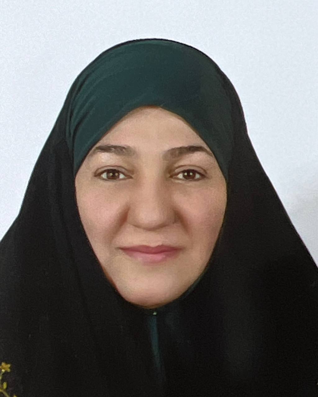 م.م. ورود حسن هويدي 