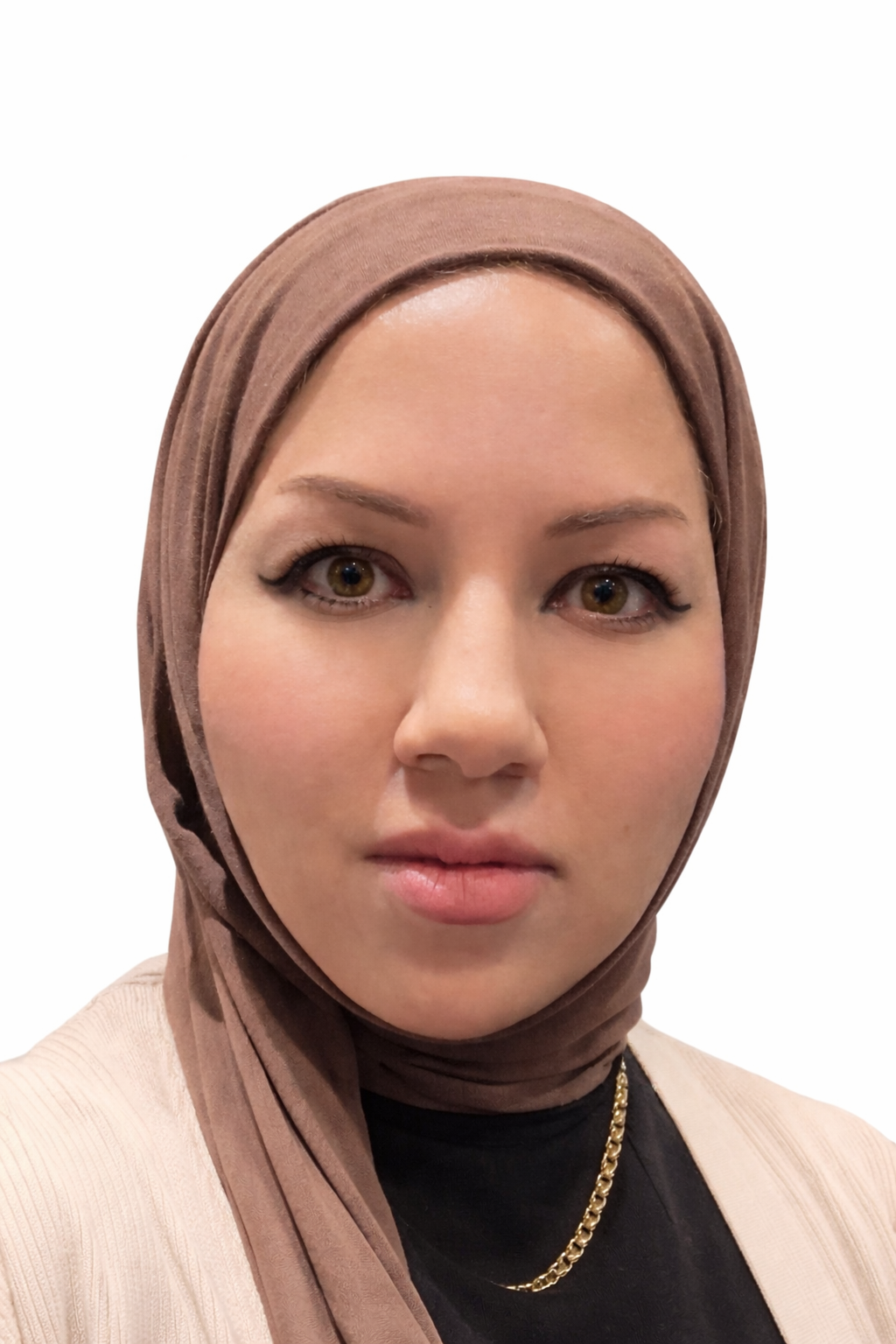 م.م ايناس محمد حسن