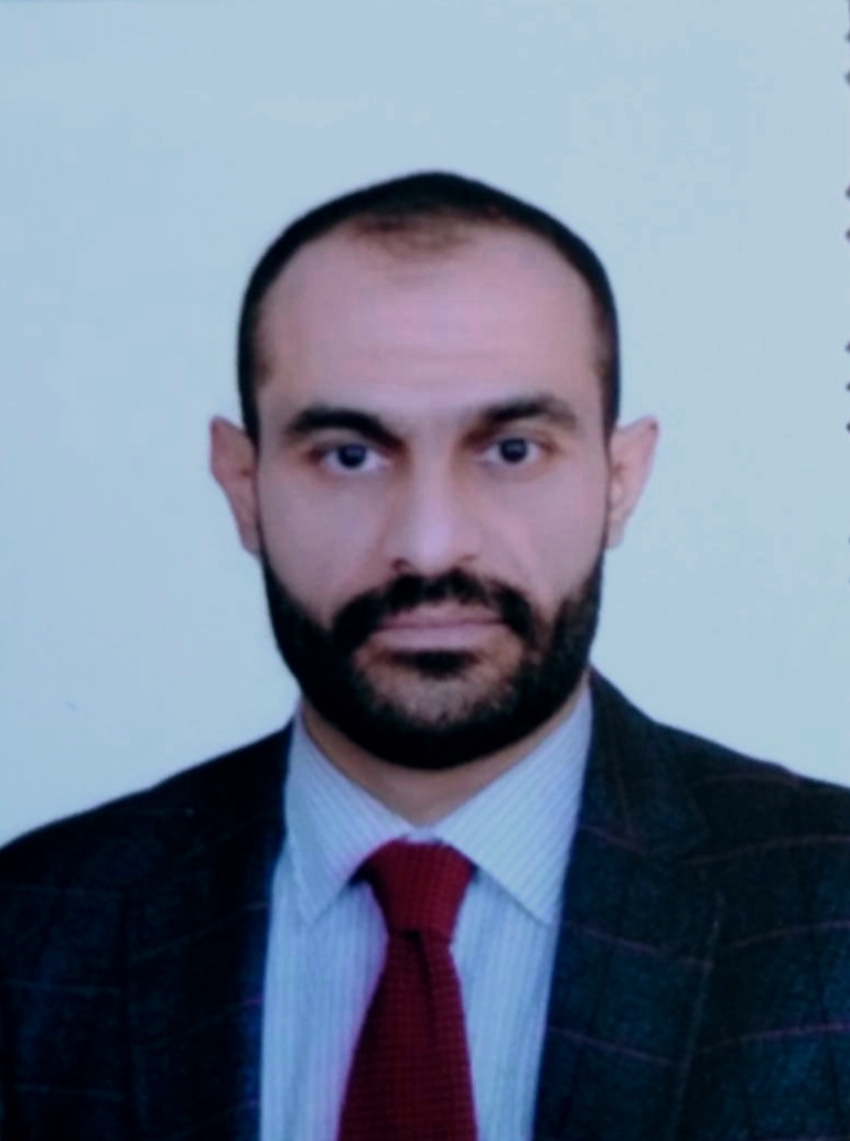 م. د. أنس أحمد حمادي 